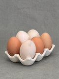 Egg Carton